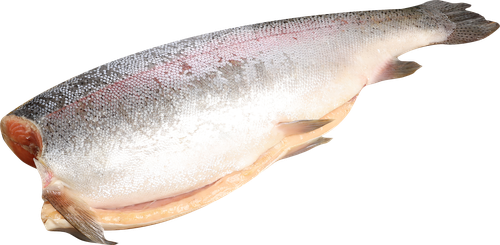 

Форель Радужная замороженная потрошеная без головы, вес