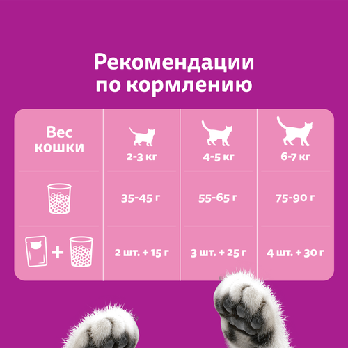 

Сухой корм Whiskas для стерилизованных кошек с курицей и вкусными подушечками 350 г