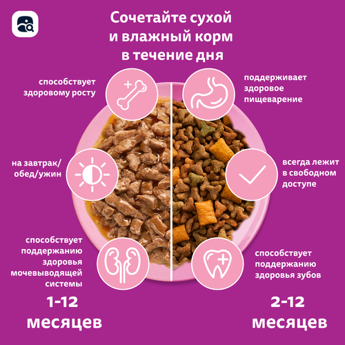 

Сухой корм для котят Whiskas подушечки с молочной начинкой с индейкой и морковью 350 г