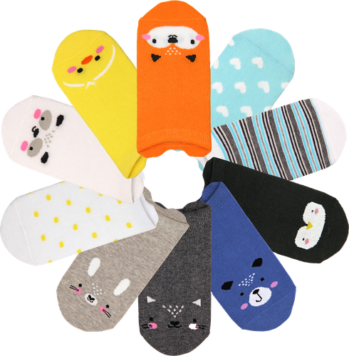 

Носки детские INWIN Мордочки р. 14–22, 10пар