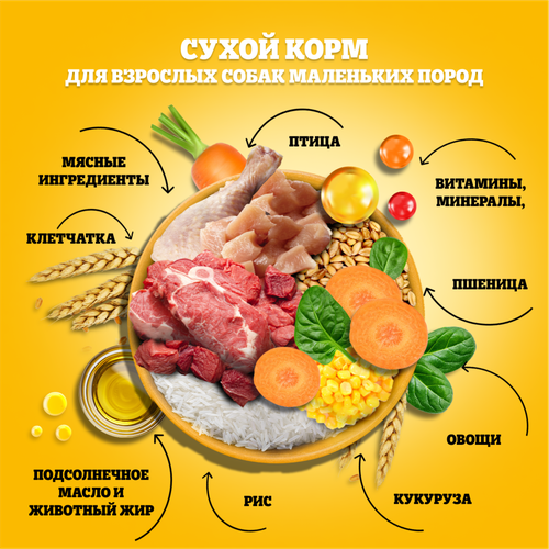 

Сухой корм Pedigree для взрослых собак маленьких пород с говядиной 2 кг