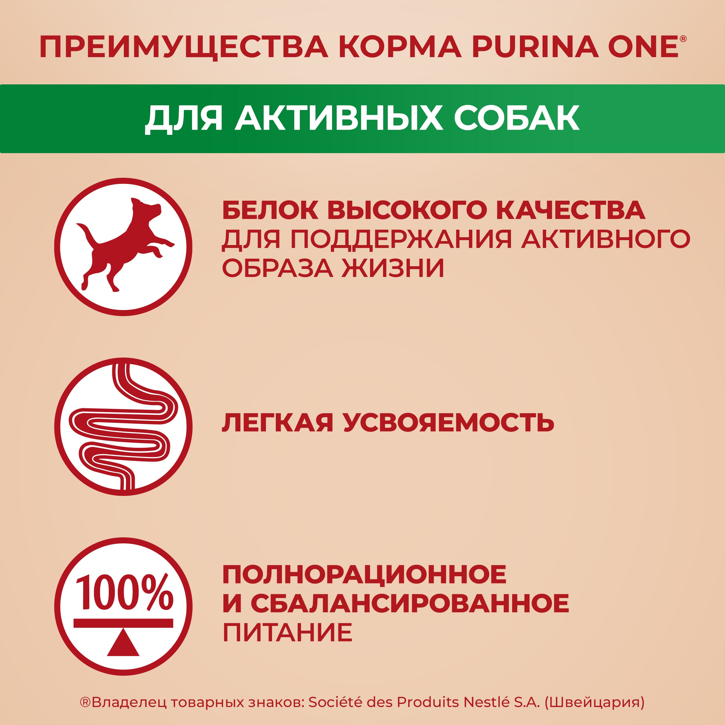 

Влажный корм Purina One Mini для собак мелких пород с уткой пастой и зеленой фасолью в подливе 85 г