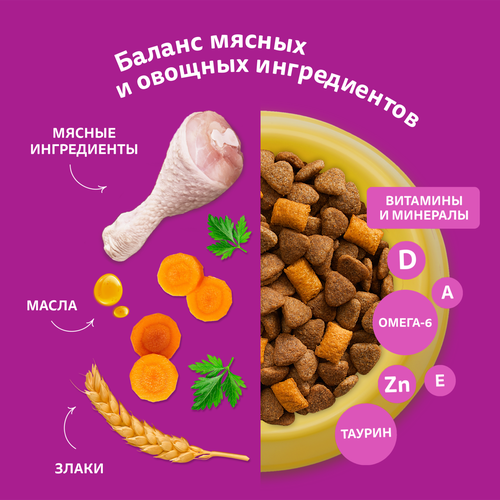 

Сухой корм Whiskas для стерилизованных кошек с курицей и вкусными подушечками 350 г