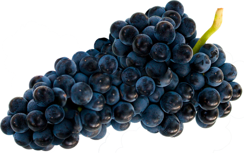 

Виноград Киш-миш черный, весовой