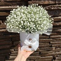 Изображение 5