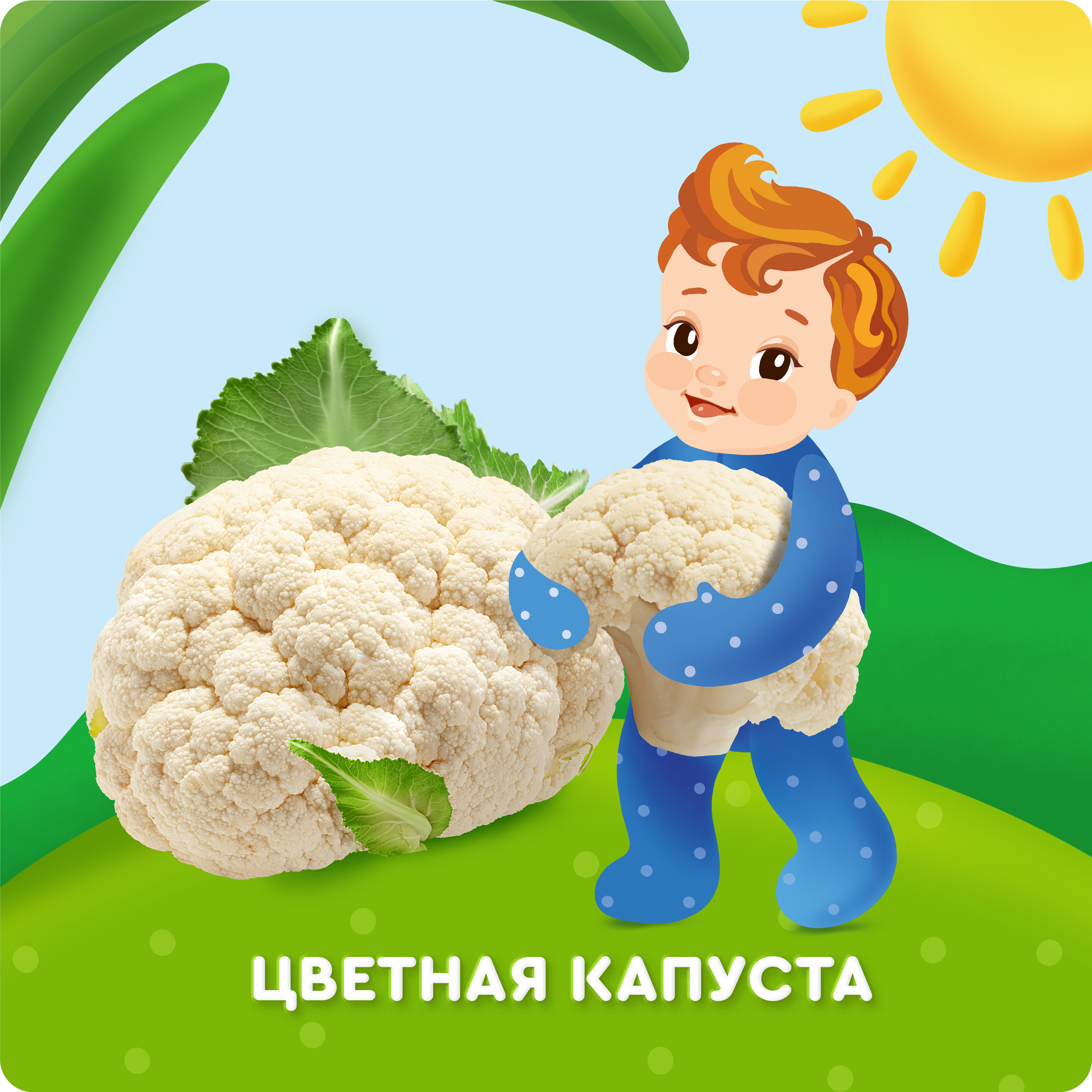 

Пюре овощное Агуша Цветная капуста в стеклянной баночке с 4 месяцев 80 г