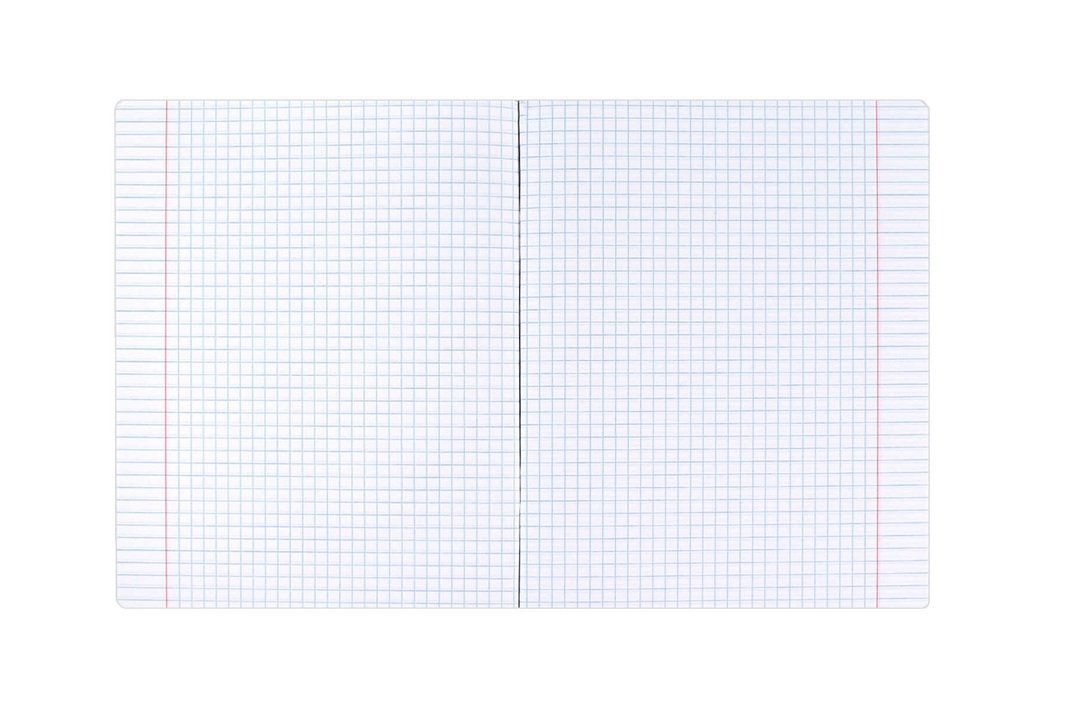 

Тетрадь предметная Феникс+ Алгебра Селфи клетка 48 листов