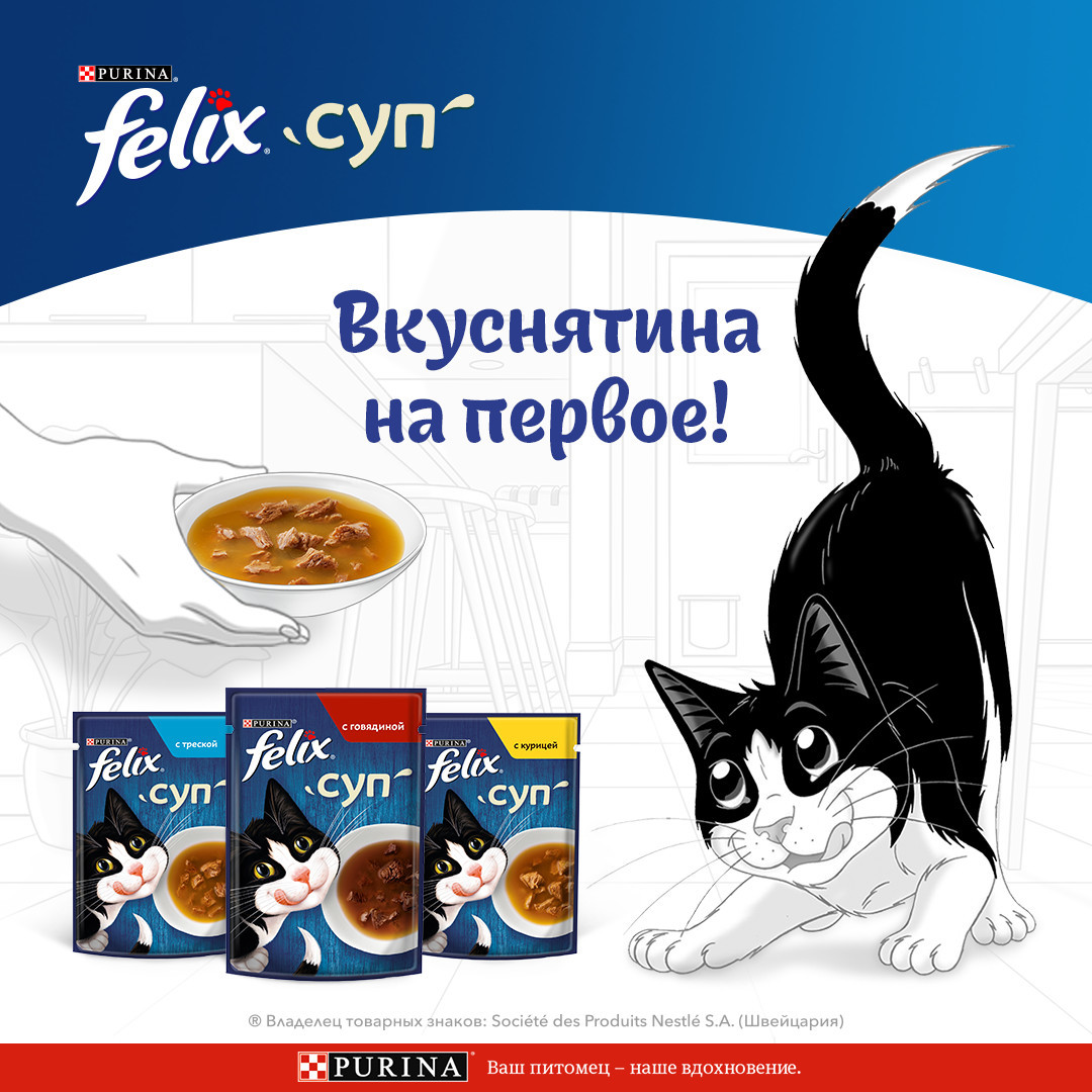 

Влажный корм Felix для взрослых кошек Суп с говядиной 48 г