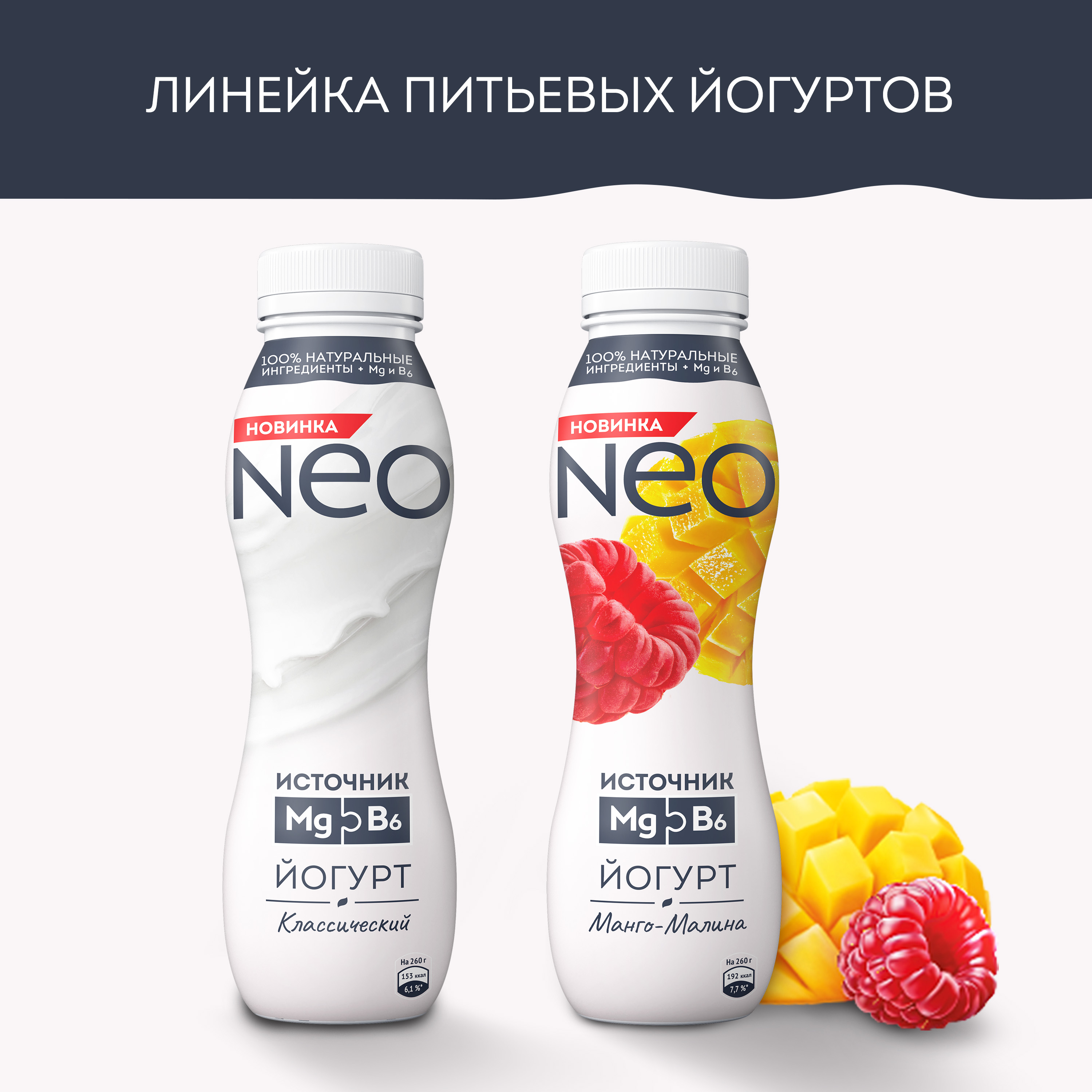

Йогурт Neo классический обогащенный магнием и витамином B6 1.8% 260 г