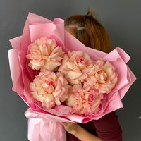 Изображение 3
