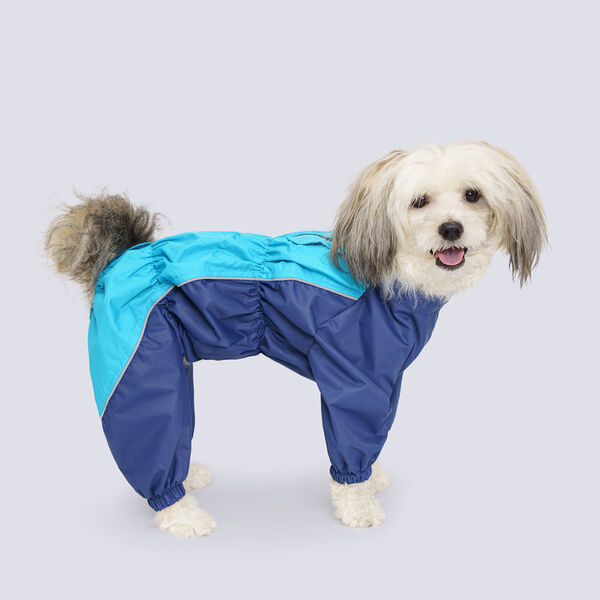 Дождевик Rungo Вестхайл, Джек Рассел 2XL синий