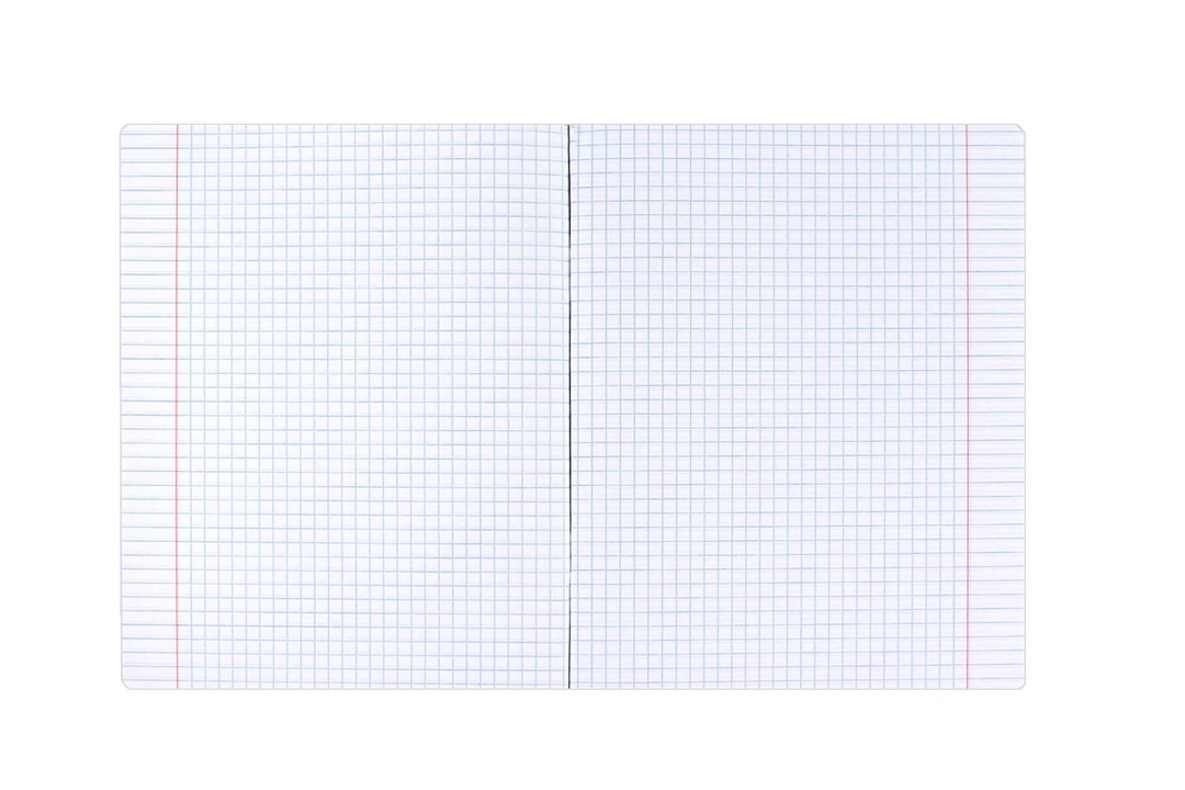 

Тетрадь общая Феникс+ Селфи История в клетку 48 листов