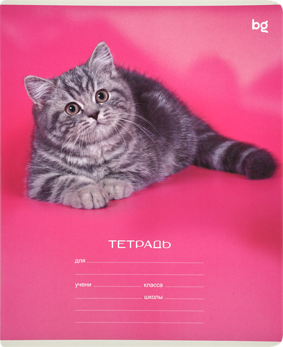 

Тетрадь BG Little animal 12 листов в клетку дизайн в ассортименте