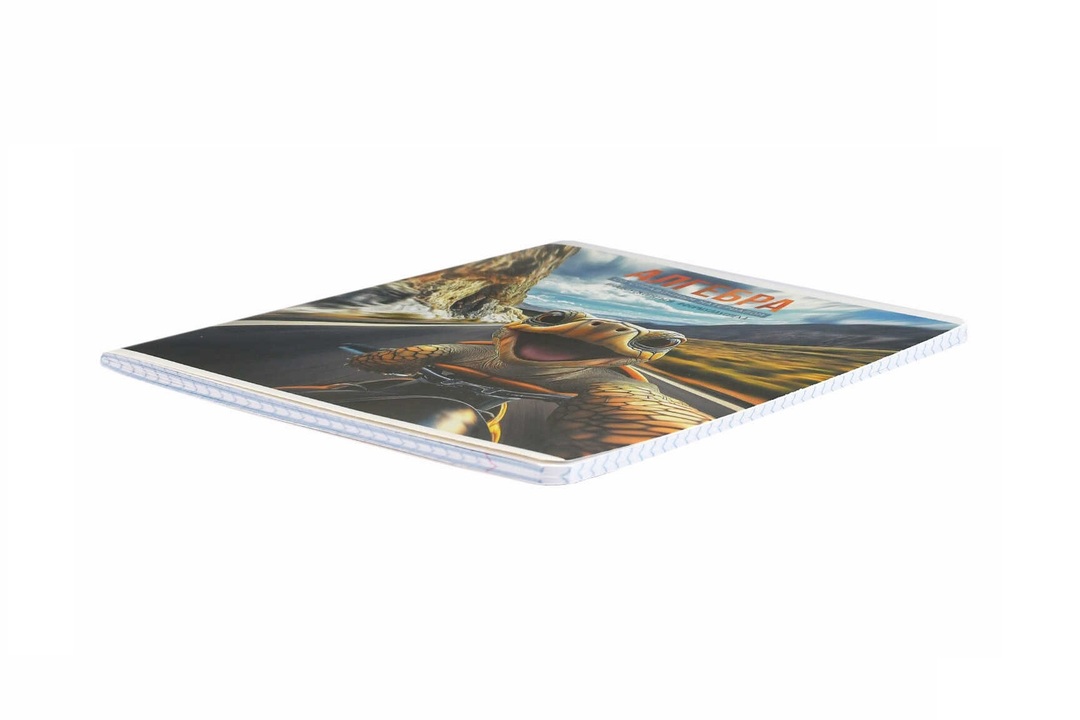 

Тетрадь предметная Феникс+ Алгебра Селфи клетка 48 листов