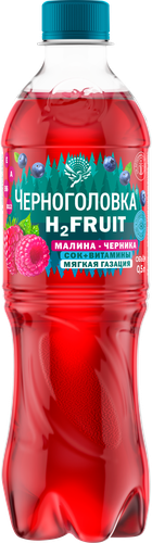 

Вода газированная Черноголовка H2 Fruit с соком малины и черники 0.5 л