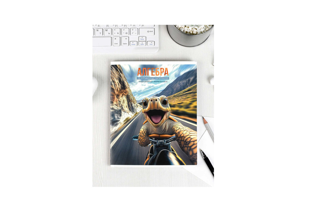 

Тетрадь предметная Феникс+ Алгебра Селфи клетка 48 листов