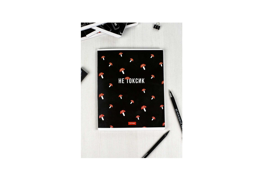 

Тетрадь Феникс+ Герои с характером А5 клетка 1 шт. в ассортименте 48 листов