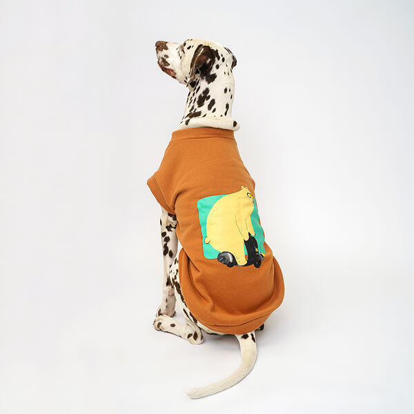 Толстовка Petmax с медведем коричневая 4XL