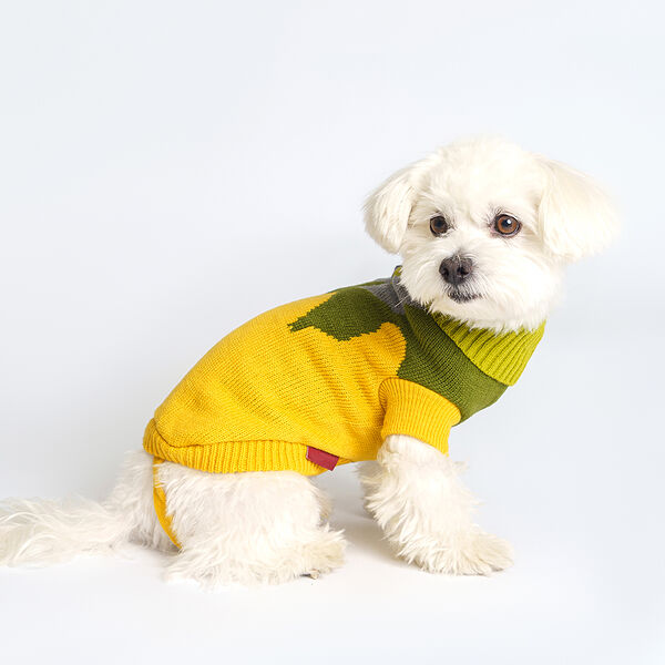 Свитер Petmax для кошек и собак XS горчичный