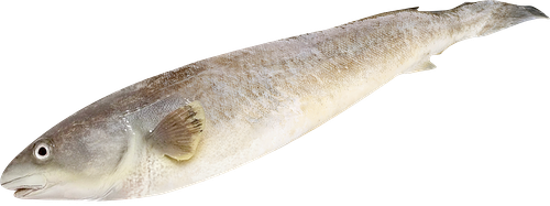 Навага свежемороженая Лента тушка 800 г