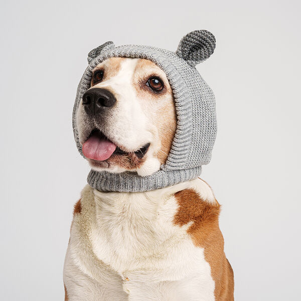 Капор Rurri с ушками для собак, обхват мордочки 40-64 см, обхват шеи 30-58 см, высота капора 20 см, серый