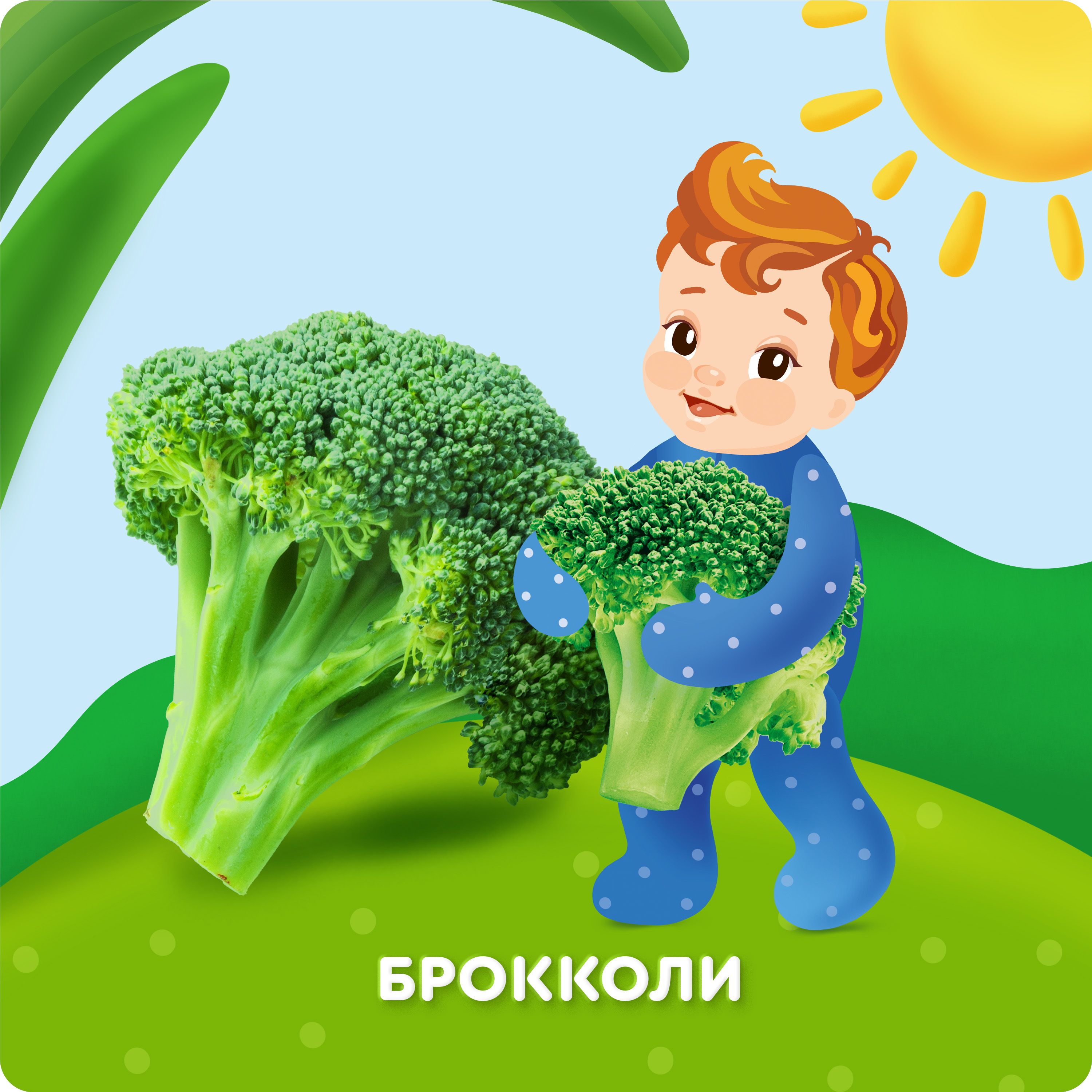 

Пюре овощное Агуша Брокколи в стеклянной баночке с 4 месяцев 80 г