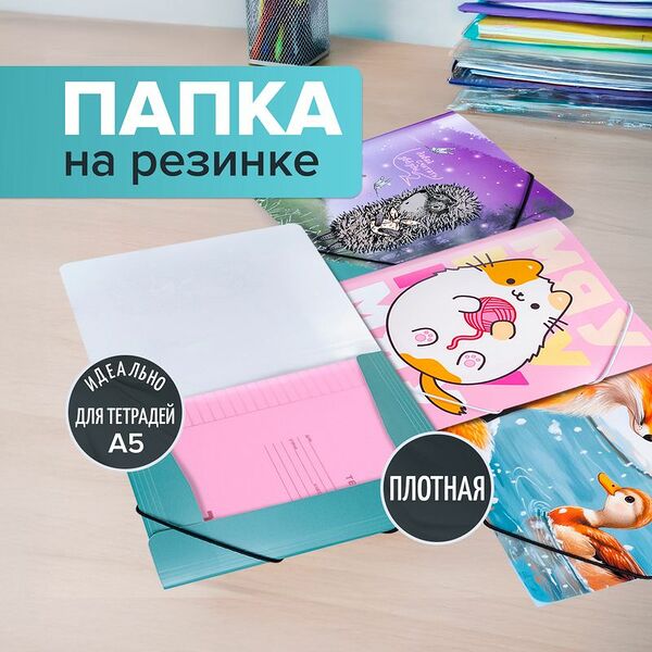 Папка на резинке для тетрадей формата А5, в ассортименте