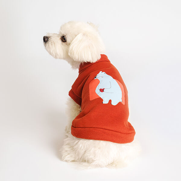 Толстовка Petmax с медведем терракотовая XS