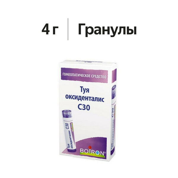 Туя оксиденталис гранулы гомеопатические С30 4 г 