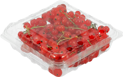 

Смородина красная свежая 125 г