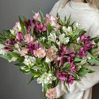 Изображение 4