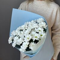 Изображение 7