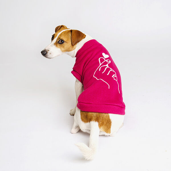 Толстовка Petmax бургунди L