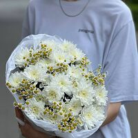 Изображение 11