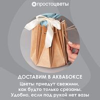 Изображение 8