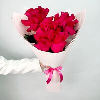 Изображение 4