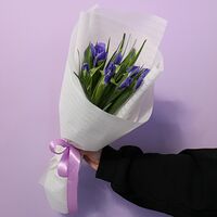 Изображение 5