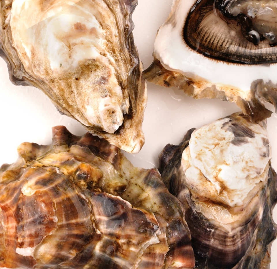 

Устрицы Розовая Джоли L живые, 70 г, Намибия