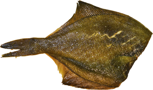 

Камбала горячего копчения вес