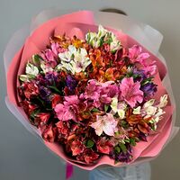 Изображение 5