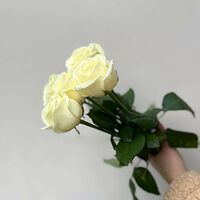 Изображение 7