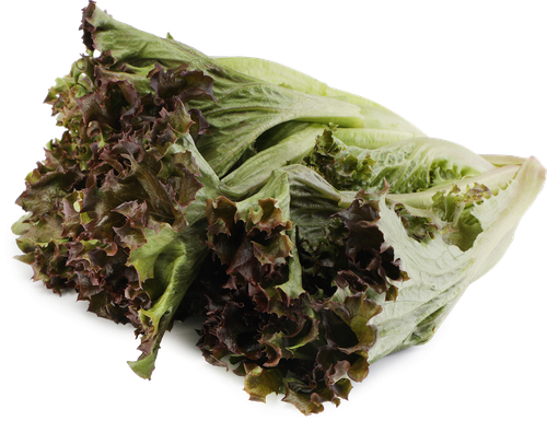 

Салат листовой Фриллис красный 140 г