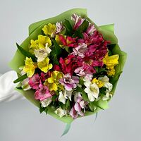 Изображение 8