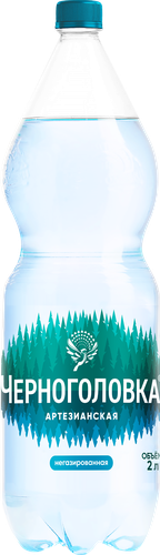 

Вода Черноголовка питьевая артезианская негазированная 2 л