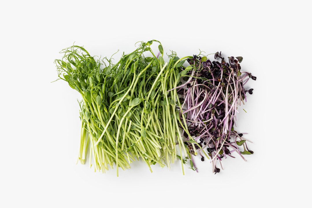 

Микс из ростков Брокколи, редис, горох 50 г