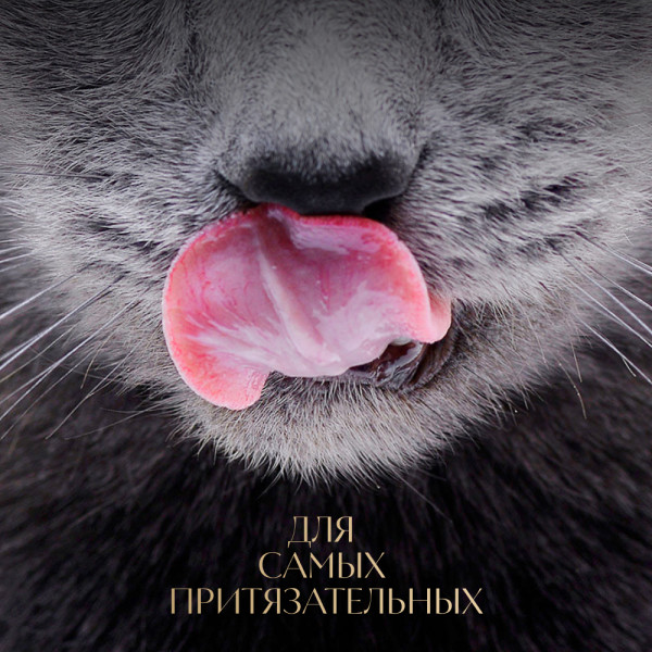 

Влажный корм Sheba Суп Коллекция для взрослых кошек с добавлением курицы 70 г