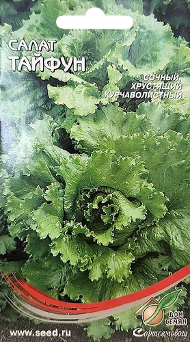 

Семена Дом семян Салат Тайфун 1 г