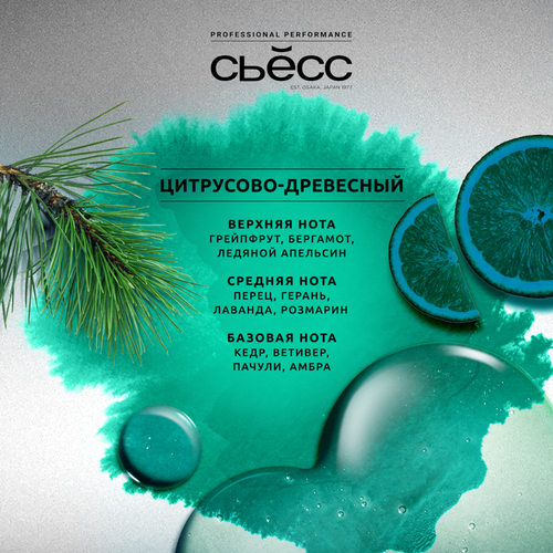 

Шампунь для волос Syoss Men Anti-Hair Fall для волос склонных к выпадению 450 мл