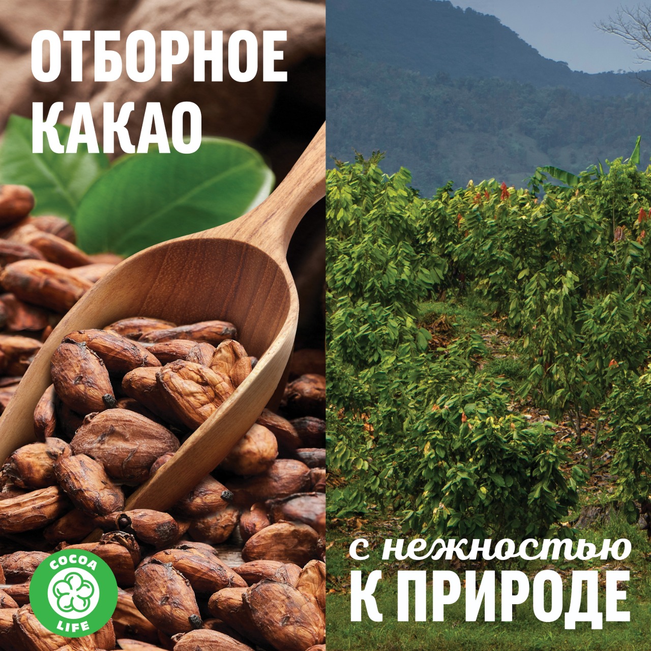 

Шоколад Milka молочный с белым шоколадом в виде ёлочек 73 г