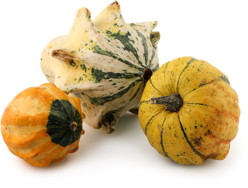 

Тыква-мини декоративная микс весовая